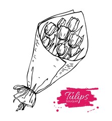 Vector hand drawn toulips bouquet illustration