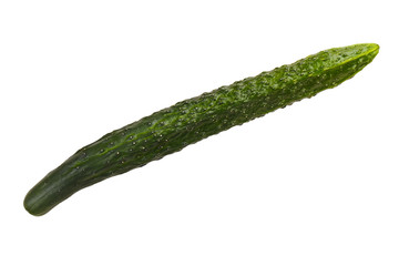 Long green cucumber