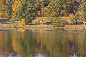 Fototapeta na wymiar lake in autumn colors