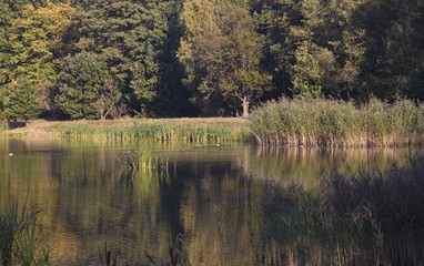 lake in autumn colors