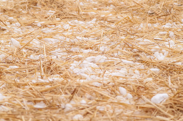 straw with snow