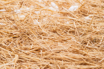 straw with snow