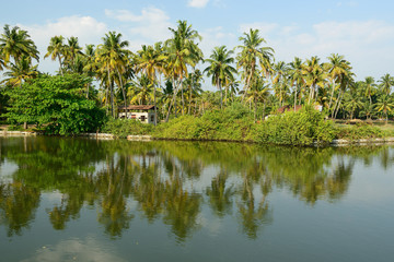 Fototapeta na wymiar Kerala state in India