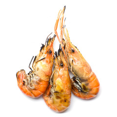 Grilled prawn on white background
