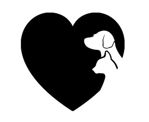 любовь к животным,ветеринария, собака кошка