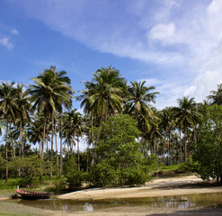 Fototapeta na wymiar boat on the river under the coconut trees