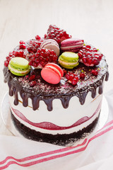 Pomegranate cake on white