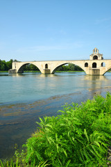 Fototapeta premium Pont Saint-Benezet in Avignon, France