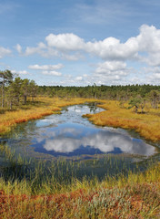 Fototapeta na wymiar National park of Kemeri in Latvia.