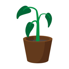 House plant in pot cartoon icon