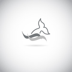 Dolphin, whale fin and water splash icon, logo.