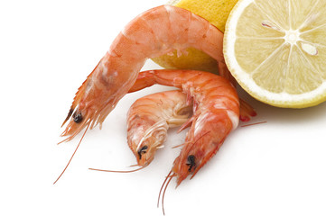 Group of fresh raw shrimp with lemon slice