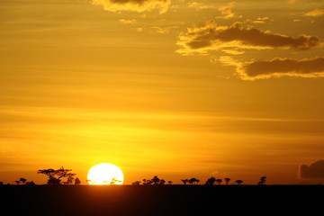 Fototapeta na wymiar Tanzania Parco Serengeti tramonto 