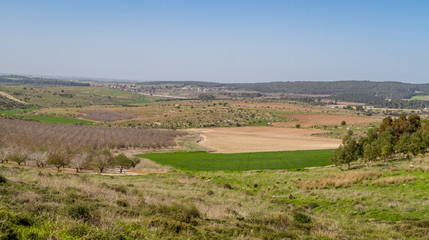 Fototapeta na wymiar Mediterranean rural landscape, Israel