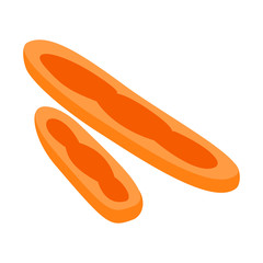 Orange virus isometric 3d icon