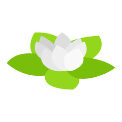 Lotus isometric 3d icon