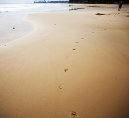 Footprints on beach