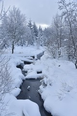 Ruisseau au milieu d'un paysage enneigé au plateau des Hautes Fagnes en Belgique