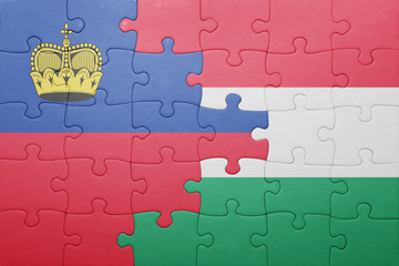 puzzle with the national flag of liechtenstein and hungary