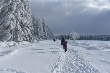 Fototapeta na wymiar Promenade dans la neige sous une éclaircie au plateau des Hautes Fagnes en Belgique