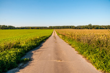 Obraz premium Weg nach Anstel