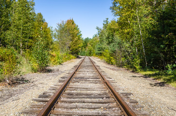 Railroad through a Forest on a Sunny Early Autumn Day