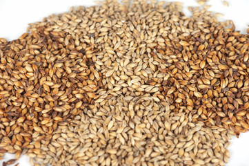 malt grains closeup