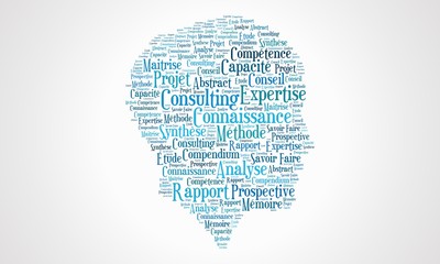 Nuage de mots Expertise