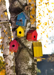 Bird houses on the tree