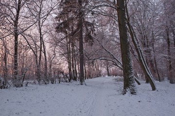 winter park in the early morning sunrise