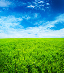 green field