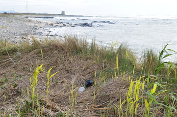 Pollution plastique des côtes