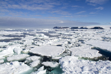 Landscape of floating pack ice. © karenfoleyphoto