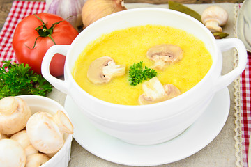 Puree Cream Soup of Zucchini with Mushrooms