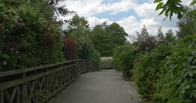 Wooden Bridge Through The Green Park, Wooden Fense
