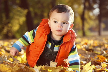 little boy outdoors autumn portrait
