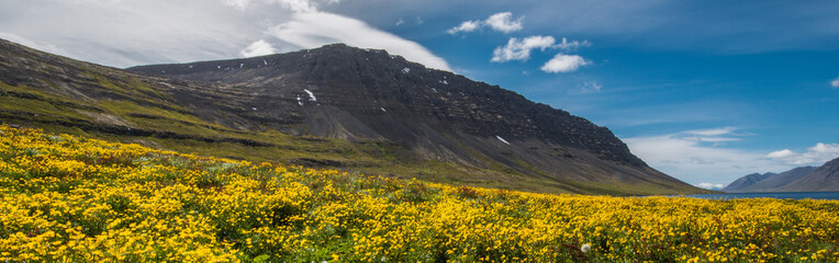 Borgarfjordur, Westfjordur, Iceland