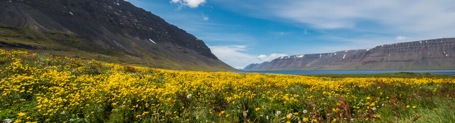 Borgarfjordur, Westfjordur, Iceland