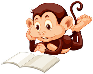 Little monkey reading a book