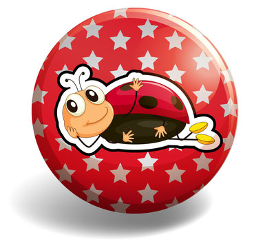 Ladybug on round badge