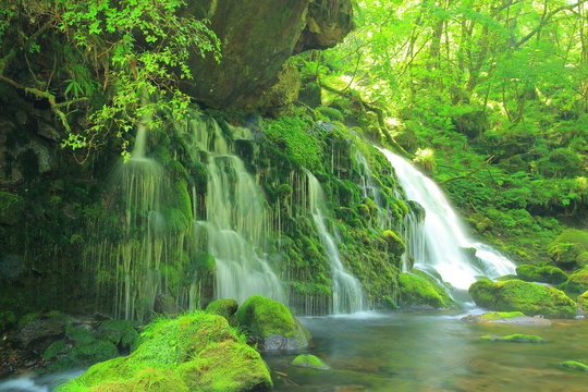 秋田県 夏の元滝伏流水 © yspbqh14