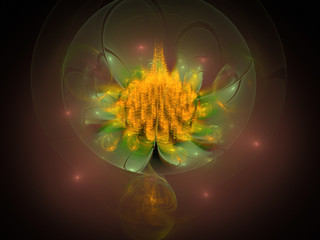 Fractal flower