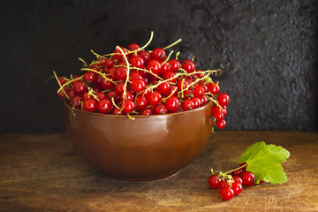 Red currants on a dark background