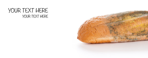 Mold On Bread