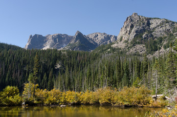 Brush and Pine Trees Along Fern Lake Horizontal