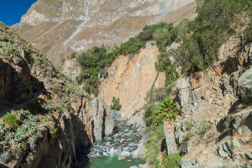 Obraz premium Trekking trail in Colca canyon, Peru
