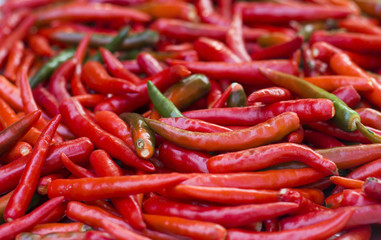 chili red background food cooking vegetable spice plant