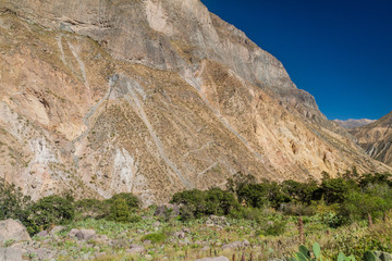 Fototapeta na wymiar Zig zag path leading to Colca canyon, Peru