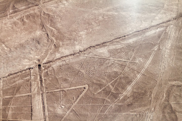 Aerial view of geoglyphs near Nazca - famous Nazca Lines, Peru. In the center, Spider figure is...