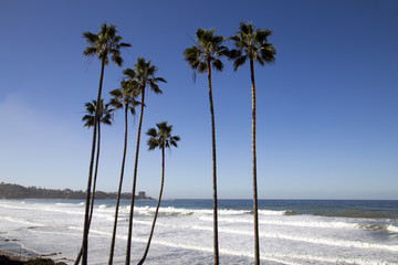 Southern California Beach © Alina's Art